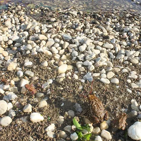 Pro Touristic Montejunto Villa Arieiro (Estremadura)