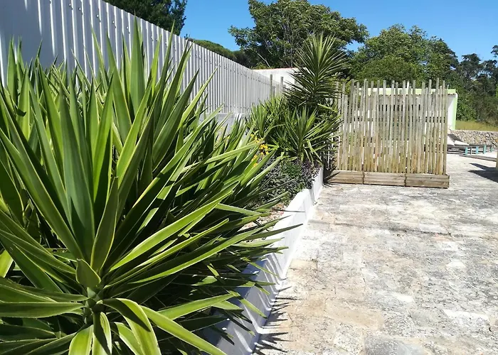 Pro Touristic Montejunto Villa *