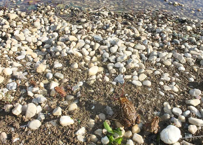 Pro Touristic Montejunto Villa Arieiro (Estremadura)